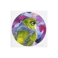Waxeye Art Print