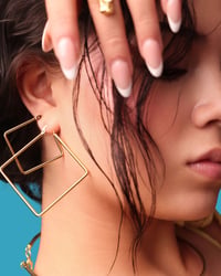 Image 1 of Brisa