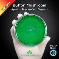 Image 1 of Button Mushroom (Agaricus Bisporus Var. Bisporus) Live Mycelium Mushroom Culture Spawn Seed