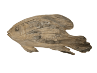 Image 2 of Natural Grain Wall Fish