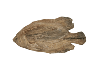 Image 1 of Natural Grain Wall Fish