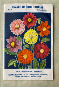 Image 2 of Vintage Ramsbottom's Flower poster