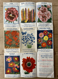 Image 1 of Vintage Ramsbottom's Flower poster