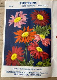 Image 4 of Vintage Ramsbottom's Flower poster