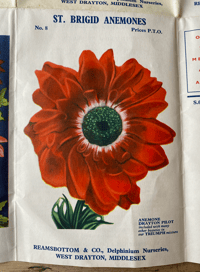 Image 5 of Vintage Ramsbottom's Flower poster