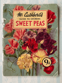 Image 1 of Mr Cuthbert's guide to growing Sweet Peas