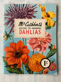 Mr Cuthbert's guide to growing Dahlias