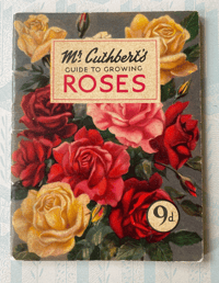 Mr Cuthbert's guide to growing Roses