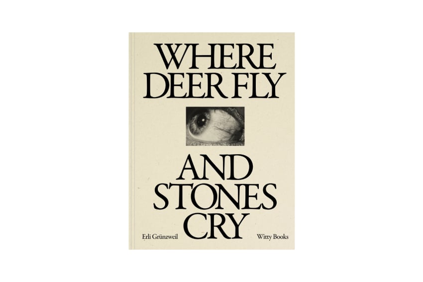 Image of Where Deer Fly and Stones Cry - Erli Grünzweil