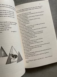Image 4 of Holy Smoke by Fanny Howe