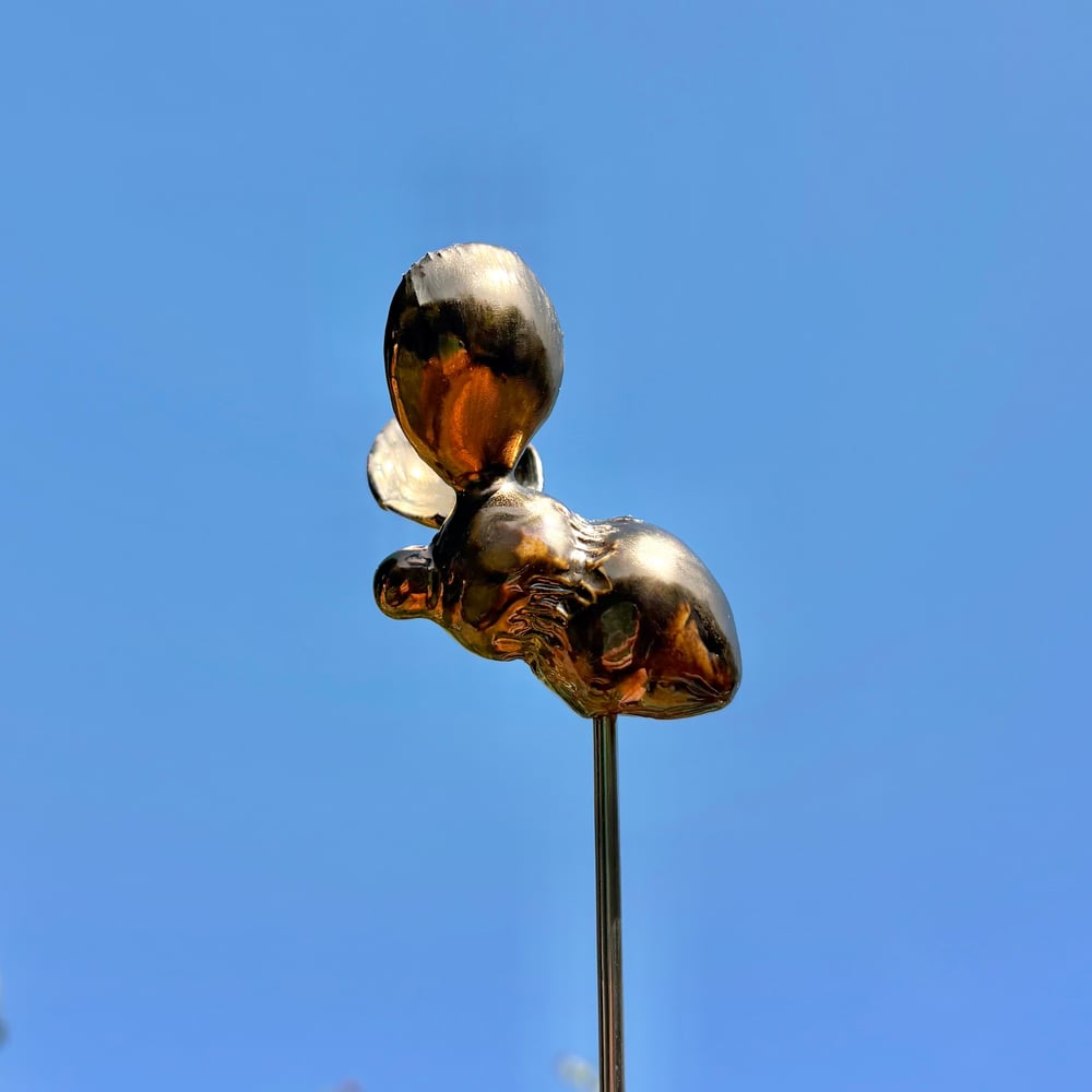 Image of Golden garden bee
