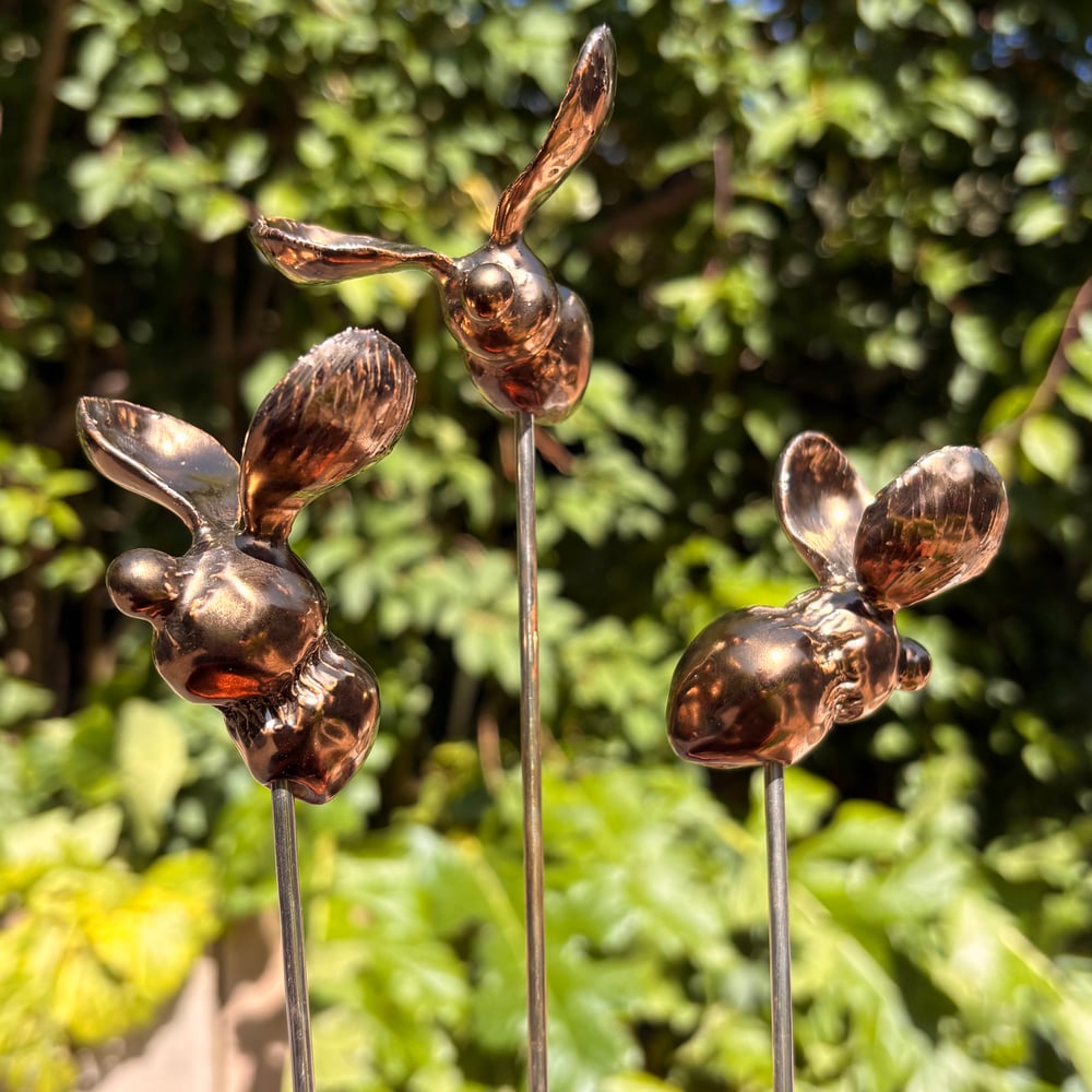 Image of Golden garden bee