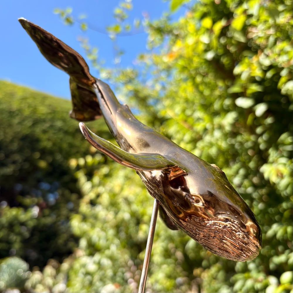 Image of Golden whale