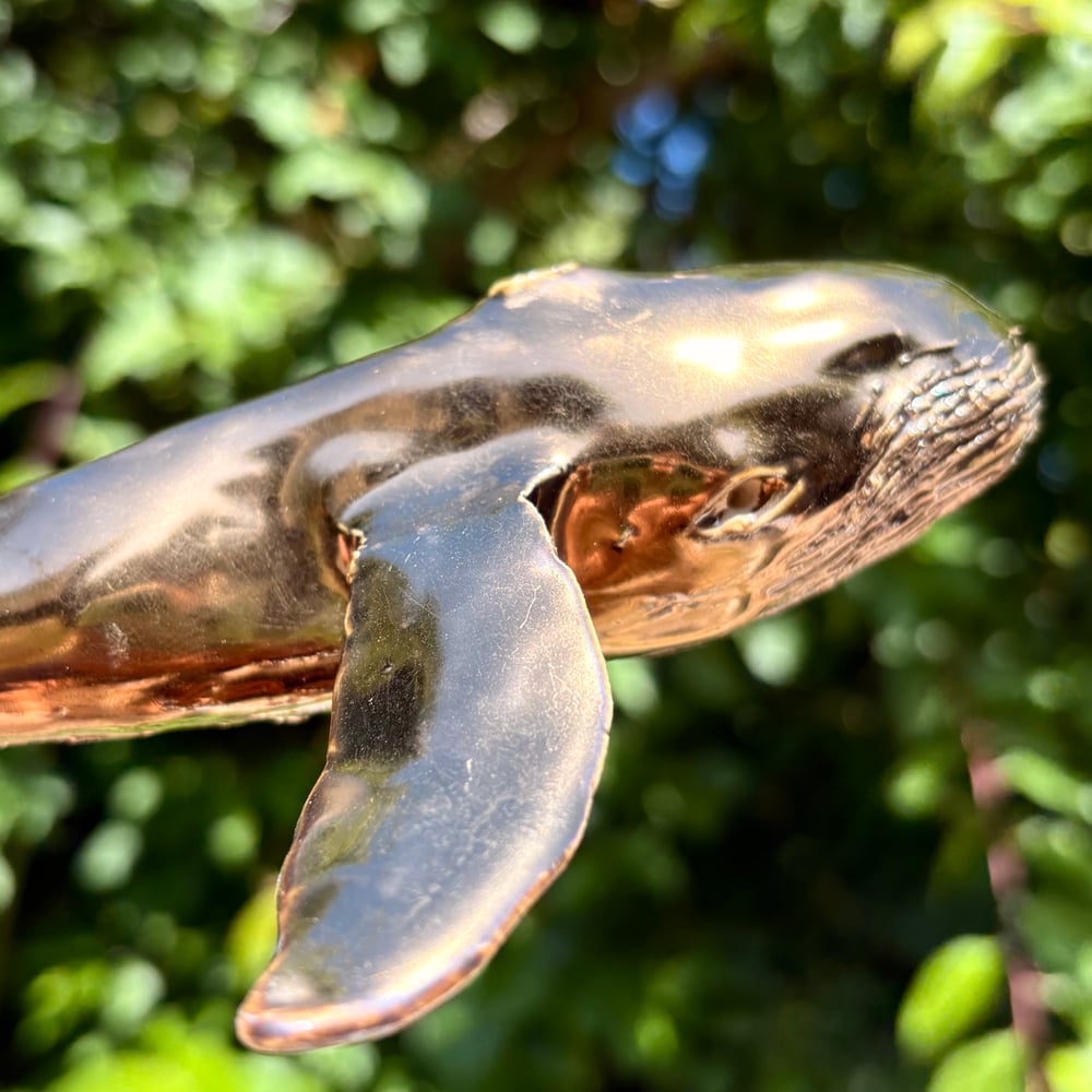 Image of Golden whale
