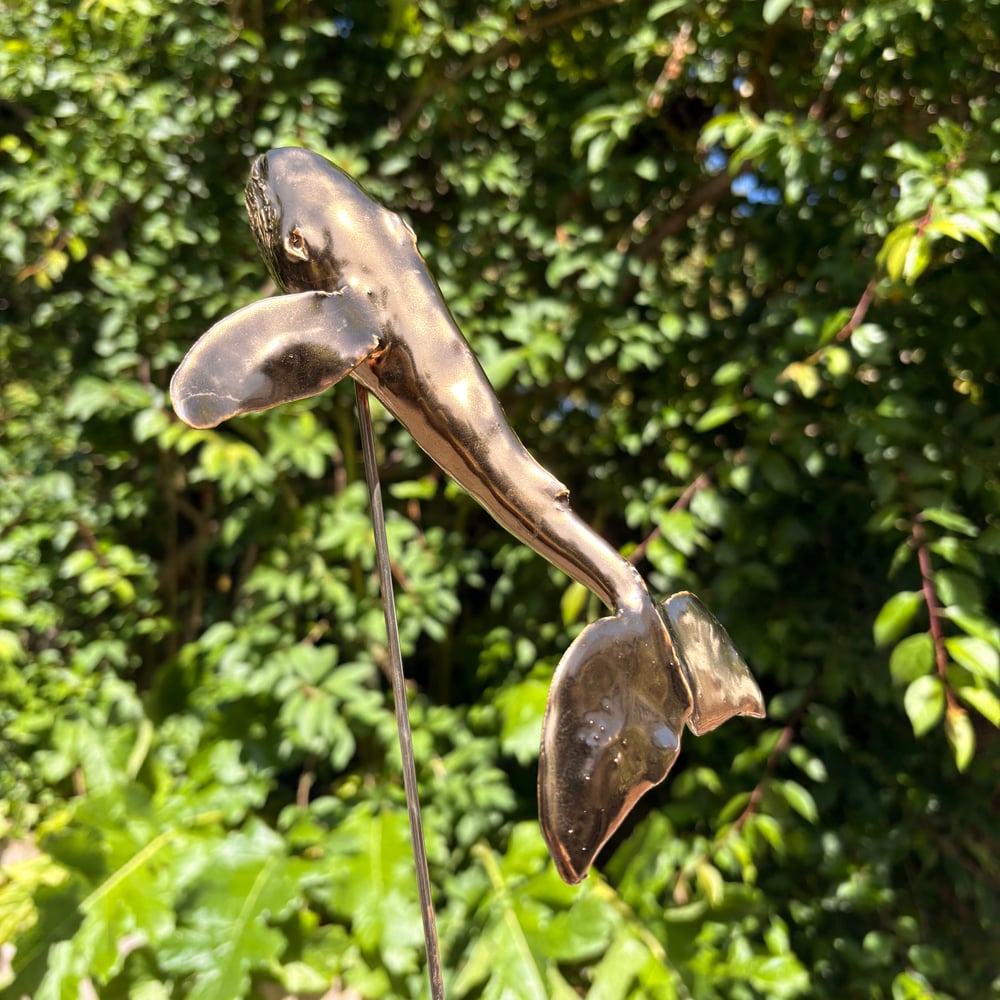 Image of Golden whale