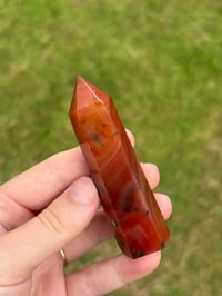 Image 3 of Carnelian Point