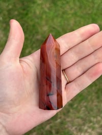 Image 5 of Carnelian Point