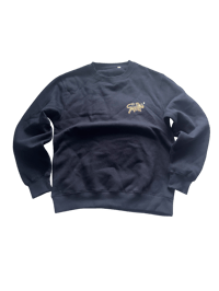 Image 1 of 🅿️ANTHERA SWEATSHIRT