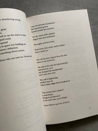 Image 2 of This Poor Book by Fanny Howe