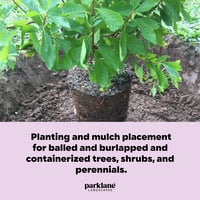 Planting and Mulch Placement Guidelines (2 pages)