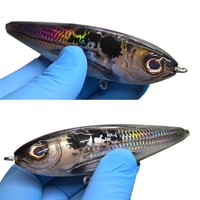 Image 1 of CreekWalker (Natural Shad)