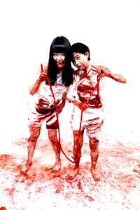 Image 5 of 2 Girls 1 Gut VHS 