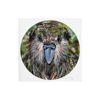 Kakapo Art Print