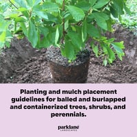 Planting and Mulch Placement Guidelines (2 pages)