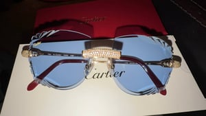 Image of CARTIER P6NX3T8R1QZW