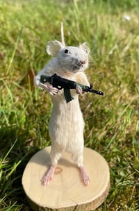 Armed and Adorable – Taxidermy Mouse Holding a Gun