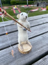 The River Rat – Taxidermy Rat Holding a Fishing Rod