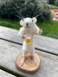 Brewski Bully – Taxidermy Rat Flipping the Bird Holding a Beer