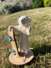 Tony Rat – Taxidermy Rat Holding a Skateboard and Flipping the Bird