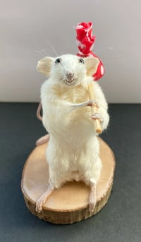 Wanderlust Whisker – Taxidermy Mouse Holding a Bindle