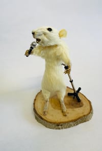 Rockstar Rat – Taxidermy Rat Holding a Microphone on a Stand