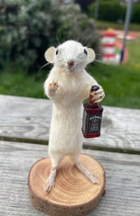 Rat Daniel’s – Taxidermy Rat Holding a Bottle of Jack Daniel’s