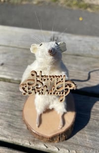 Birthday Buddy, Taxidermy Mouse with Happy Birthday Sign