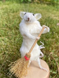 Dusty Whiskerwick, Taxidermy Mouse with Sweeping Brush