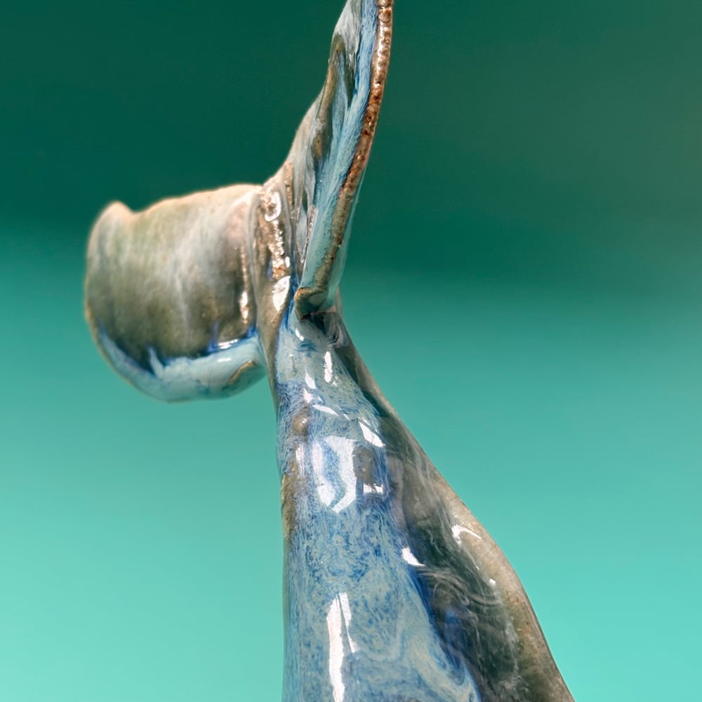 Image of Deep sea Whale Fin 
