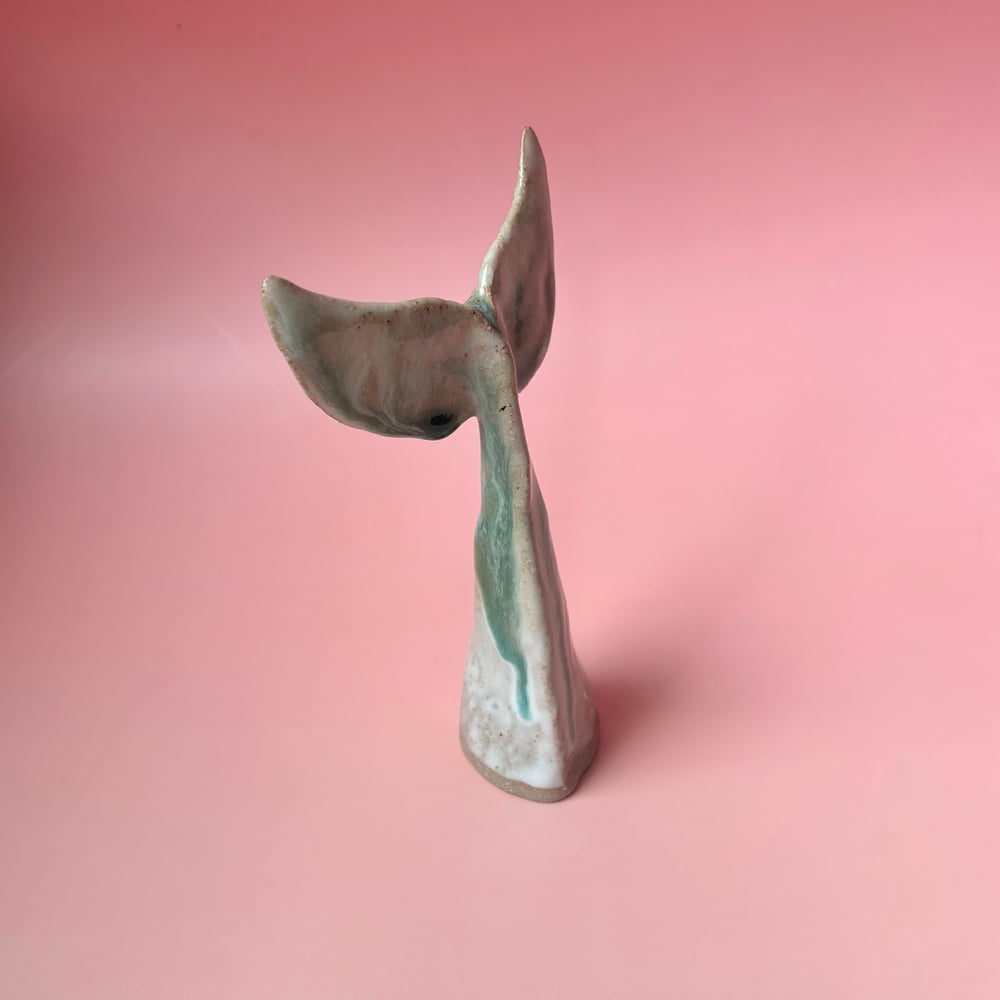 Image of Indian Ocean Fin 