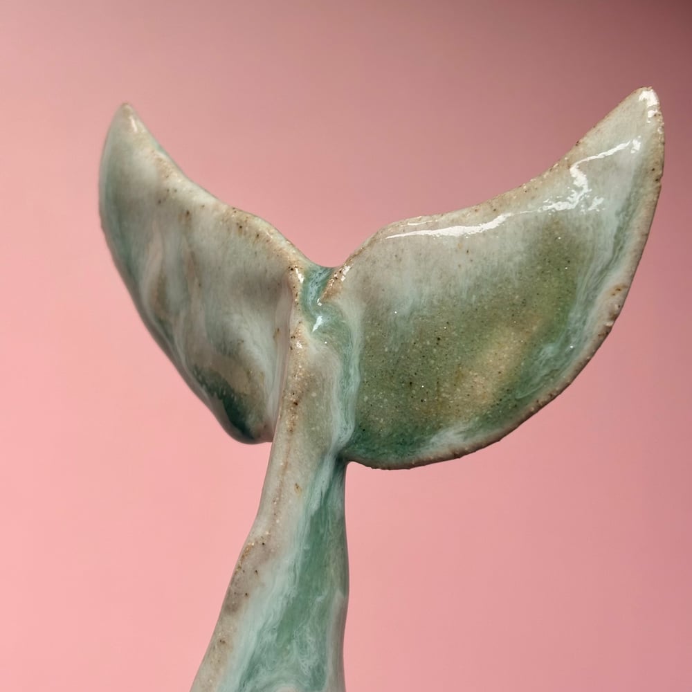 Image of Indian Ocean Fin 