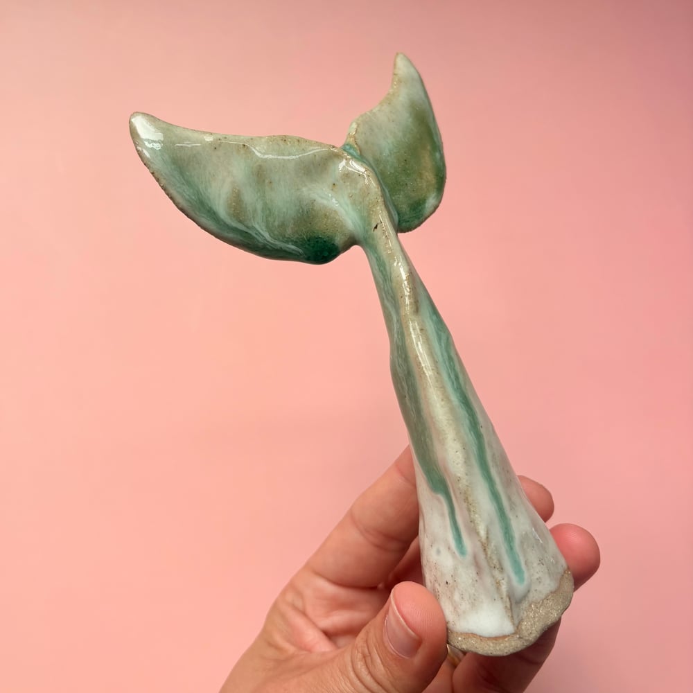 Image of Indian Ocean Fin 