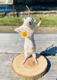 Brewski Buddy – Taxidermy Mouse Holding a Pint of Beer