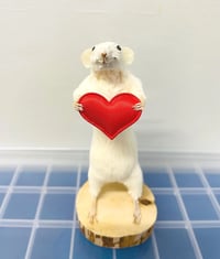 Sweetheart Squeaker – Taxidermy Mouse Holding a Love Heart