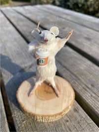 Caffeinated Cutie – Taxidermy Mouse Holding a Cup of Coffee