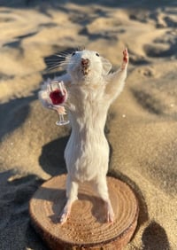 Merlot Mouse – Taxidermy Mouse Holding a Glass of Red Wine