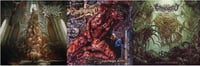Neurologic Pathology/Evisceromamorphogenic/Enfrenzied - 3 Cds PACK