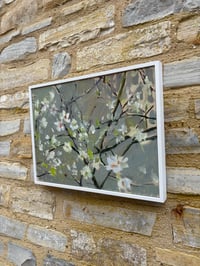 Image 5 of Blossom in Febuary 33cm x 43cm