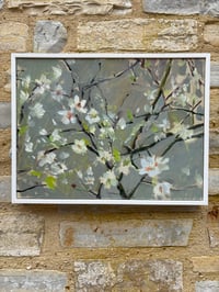 Image 4 of Blossom in Febuary 33cm x 43cm