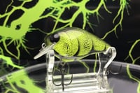 Image 1 of SPEEDBAITS Custom Airbrushed BFS Crankbait 2643